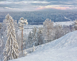 Kurort Snezhny