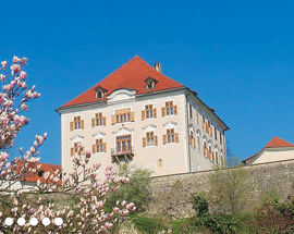 Zaprice Castle and Regional Museum