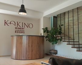 Kokino Winery & Hotel