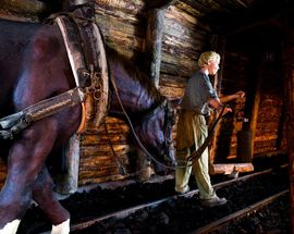 The Coal Mining Museum of Slovenia