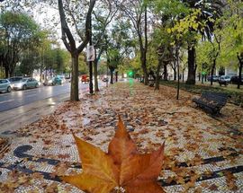 Avenida da Liberdade