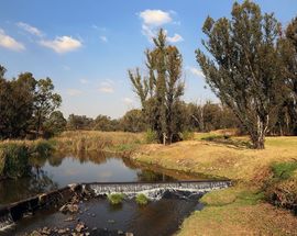 Modderfontein Reserve