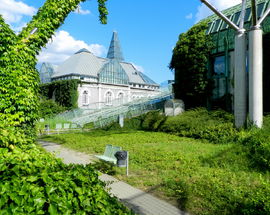 Warsaw University Library Rooftop Gardens