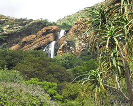 Walter Sisulu National Botanical Garden