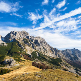 Foča/