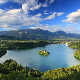 Bled/