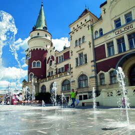 Celje/