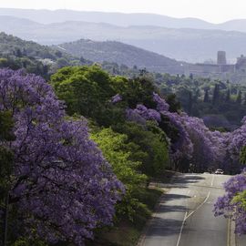 Pretoria/